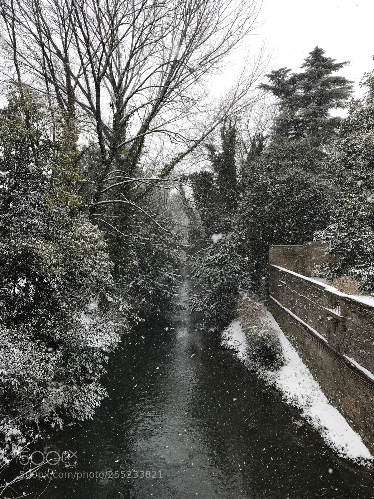 Apple iPhone sample photo. Winter photography