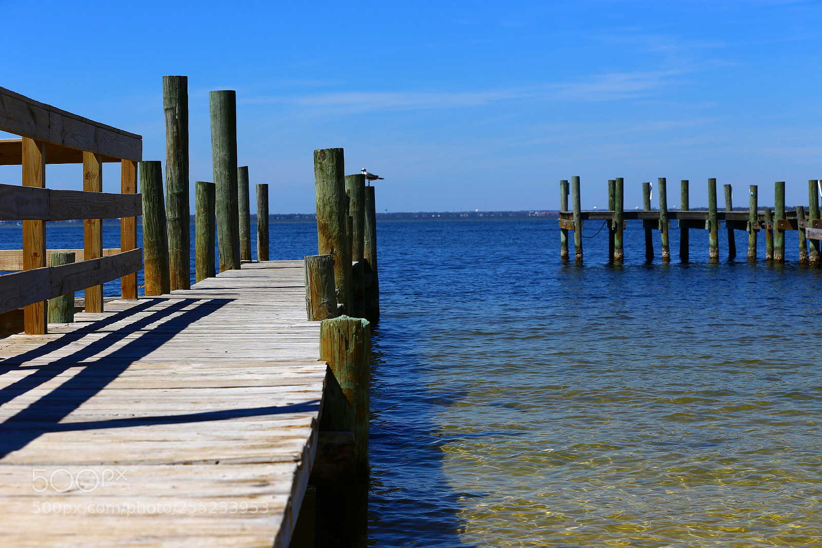 Canon EF 70-200mm F2.8L IS II USM sample photo. Destin 2018 photography