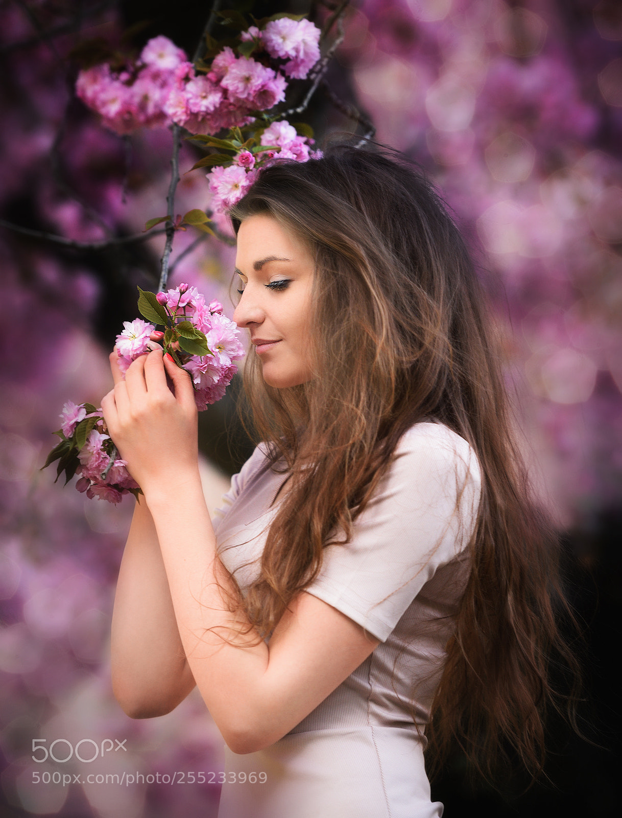 Nikon D810 sample photo. Nikol photography