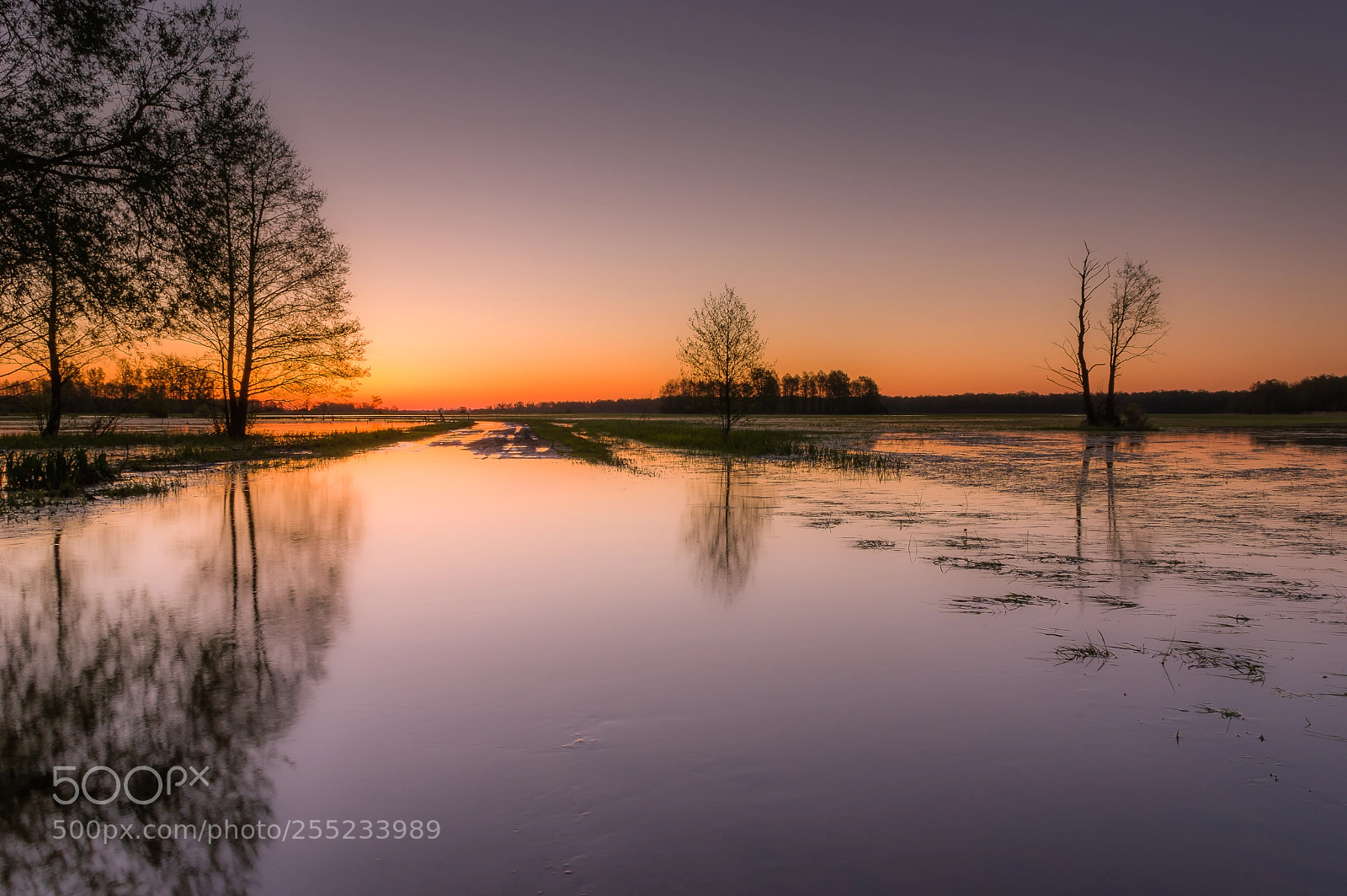 Pentax K-3 II sample photo. Water meadows at dawn photography