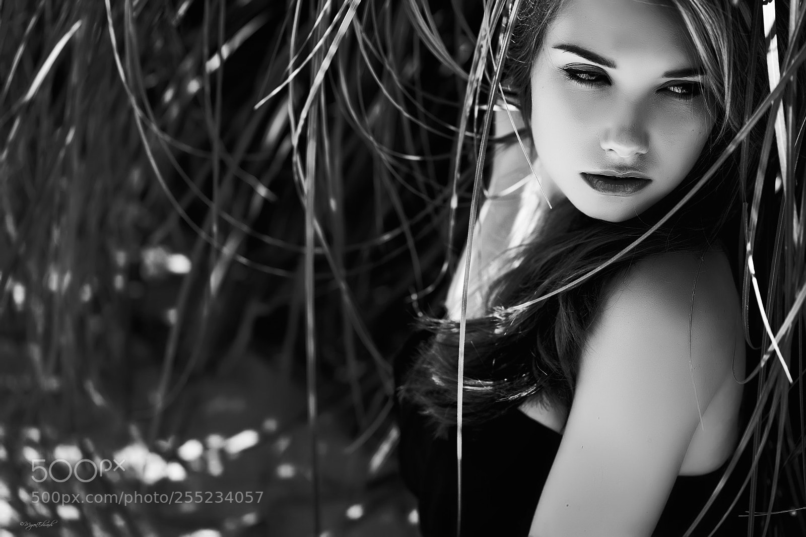 Canon EOS-1D X sample photo. Drawn to you photography