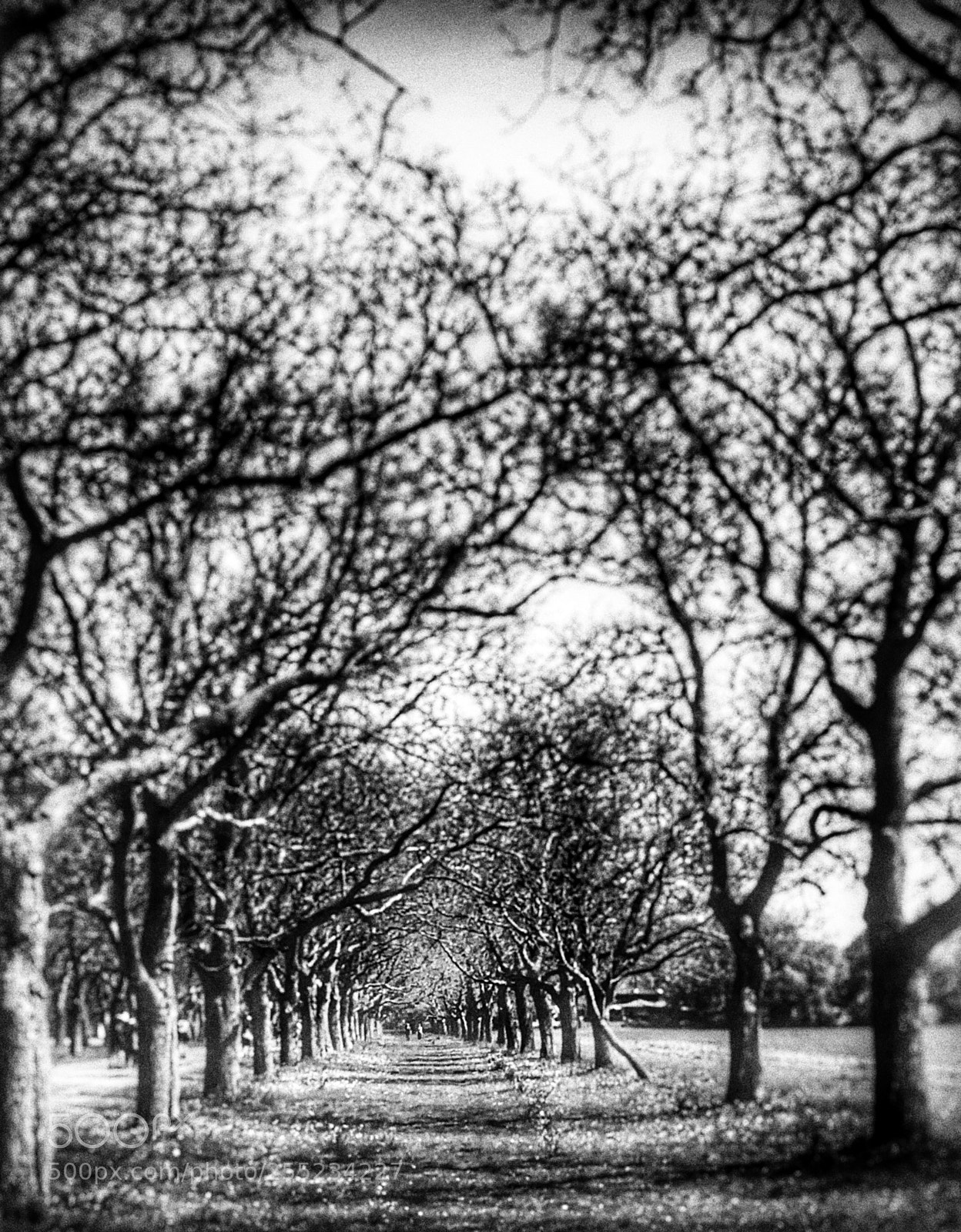 Apple iPhone 5s sample photo. Lane photography