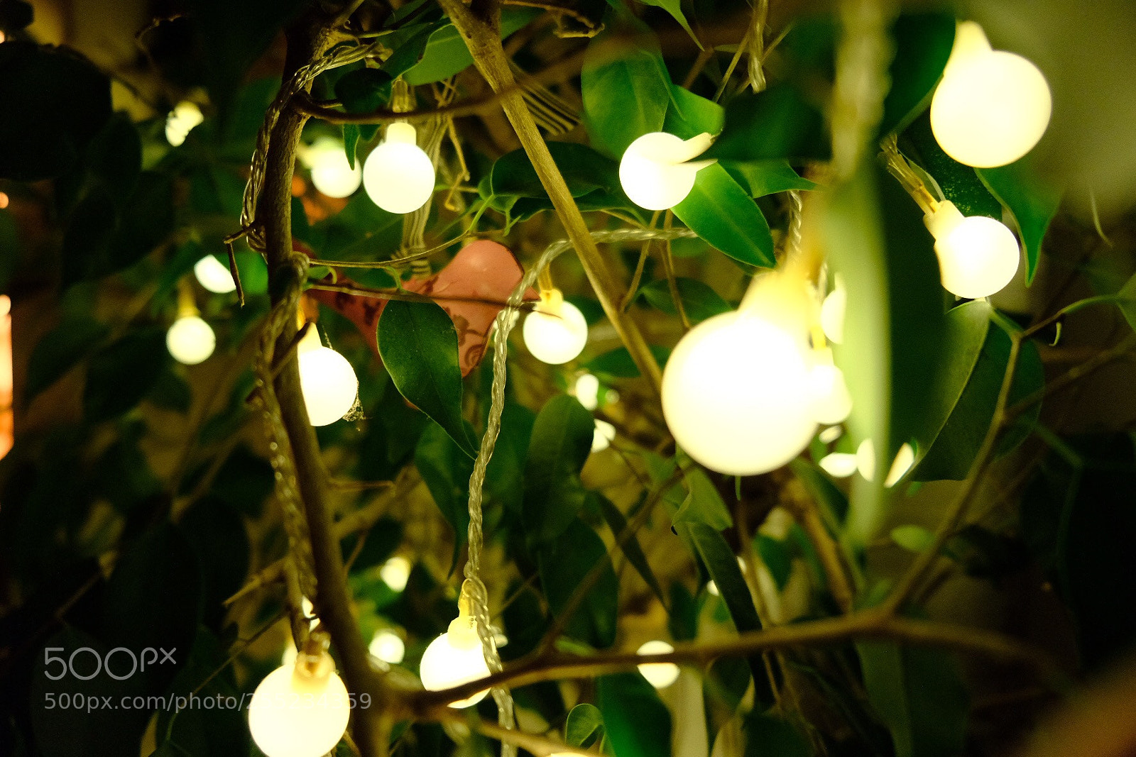 Fujifilm X-T2 sample photo. Golden lights photography