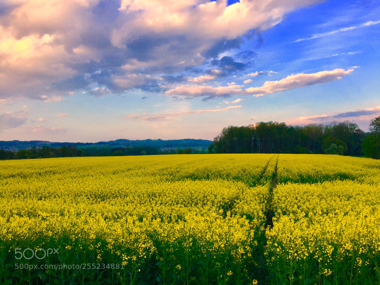 Apple iPhone 6 sample photo. Spring in switzerland  photography