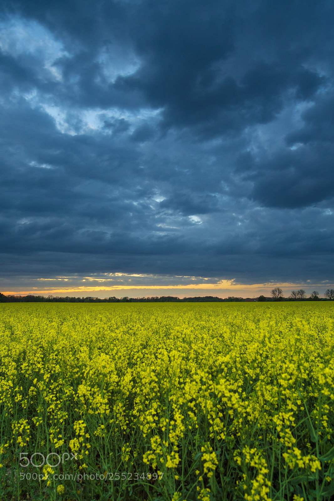 Sony a5100 sample photo. Rain is coming  photography