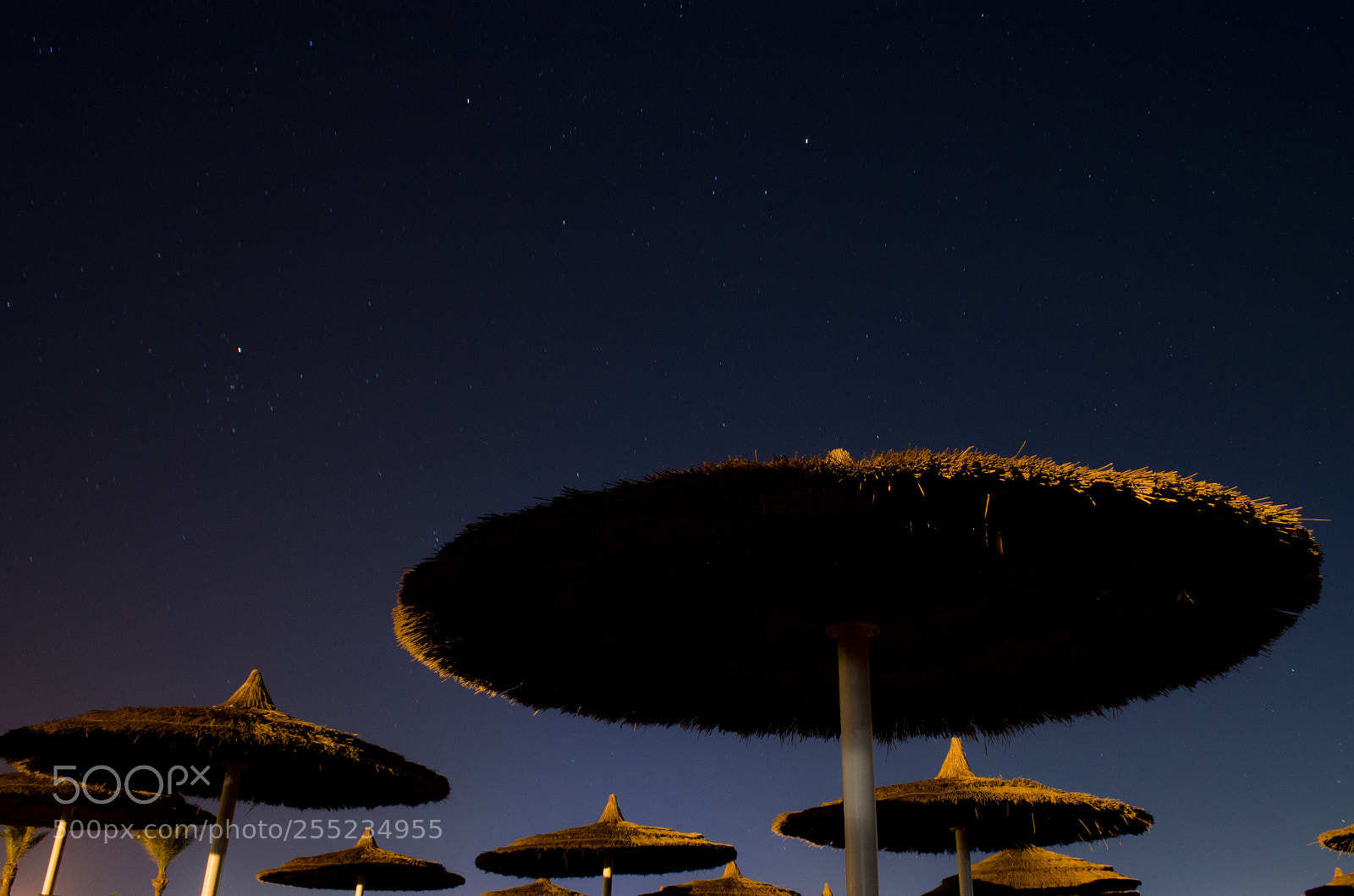 Nikon D5100 sample photo. Ufos photography