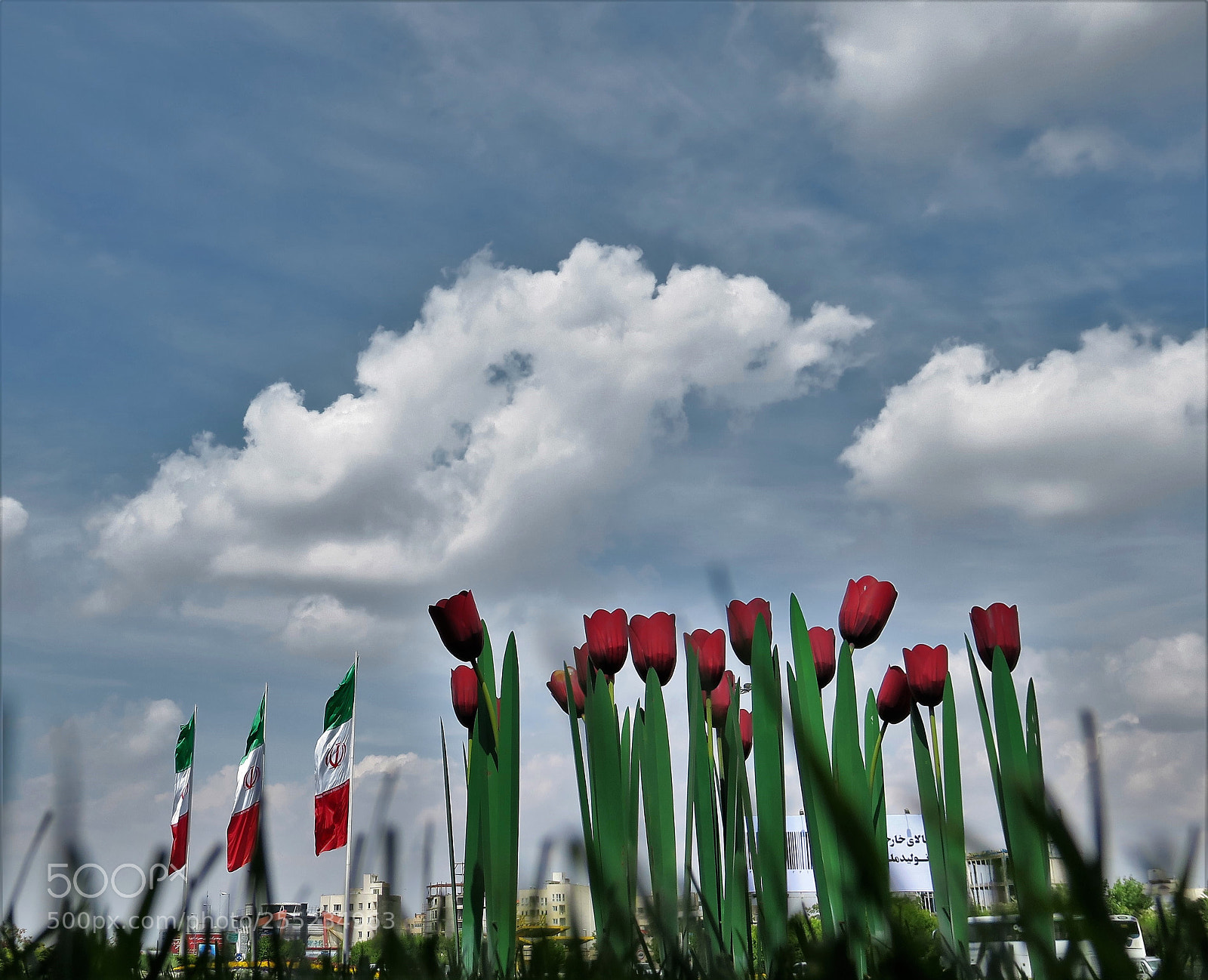 Canon PowerShot G3 X sample photo. Persia photography