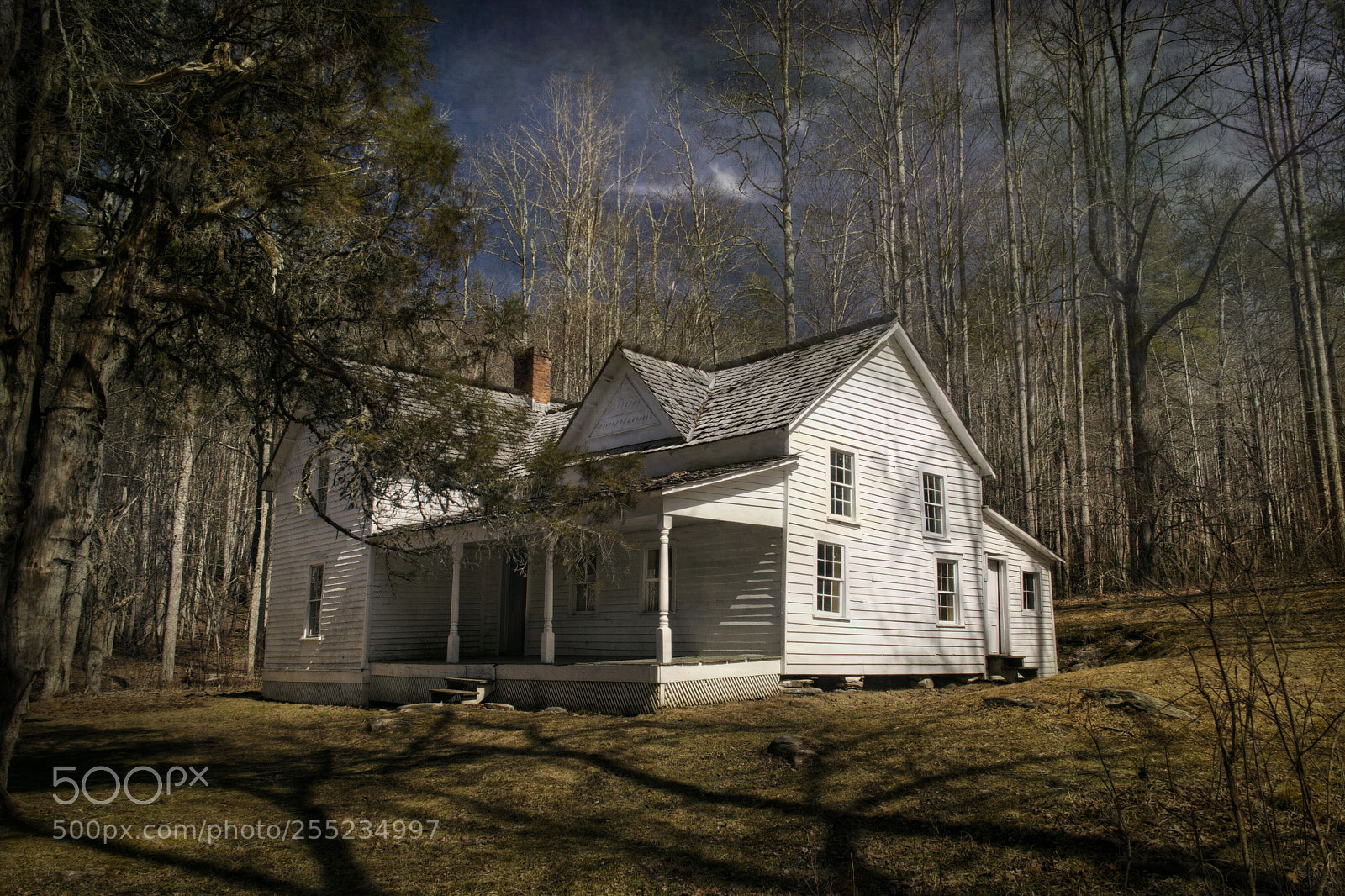 Nikon D7100 sample photo. Woody house photography