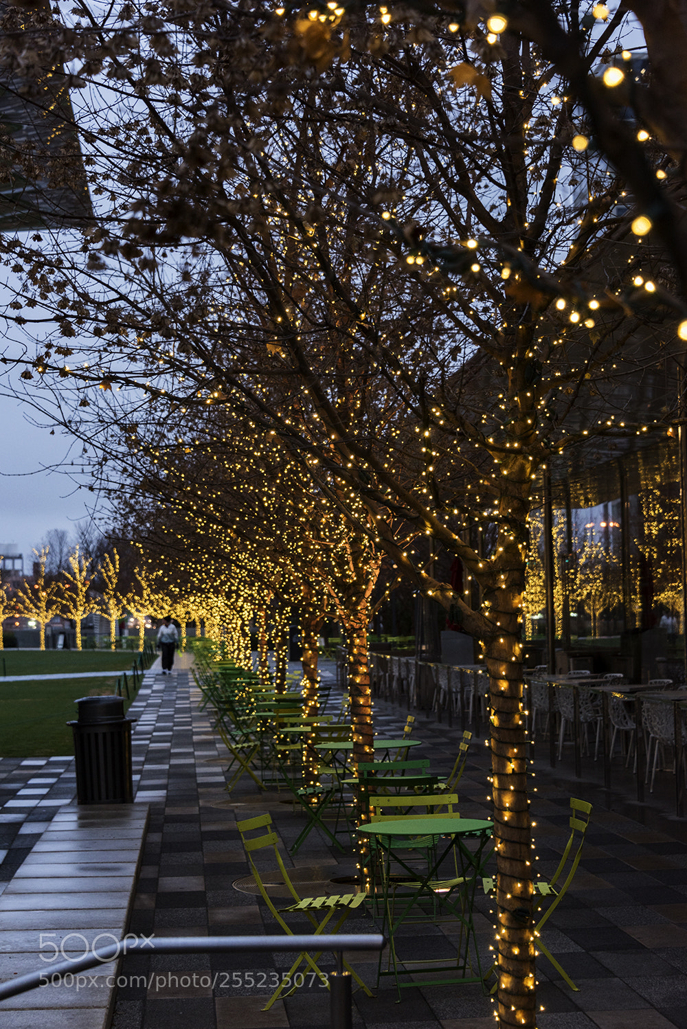 Nikon D810 sample photo. Downtown dallas park photography