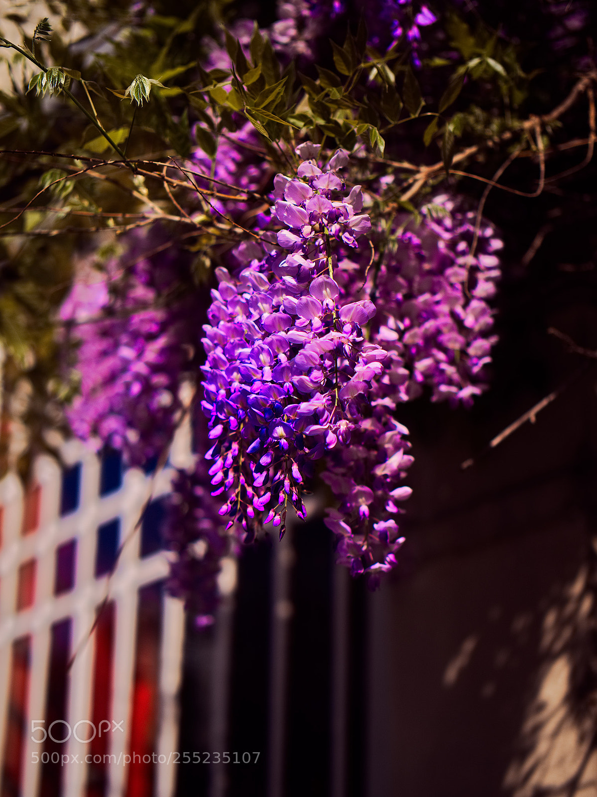 Panasonic Lumix DC-GH5 sample photo. Au sud des choses photography