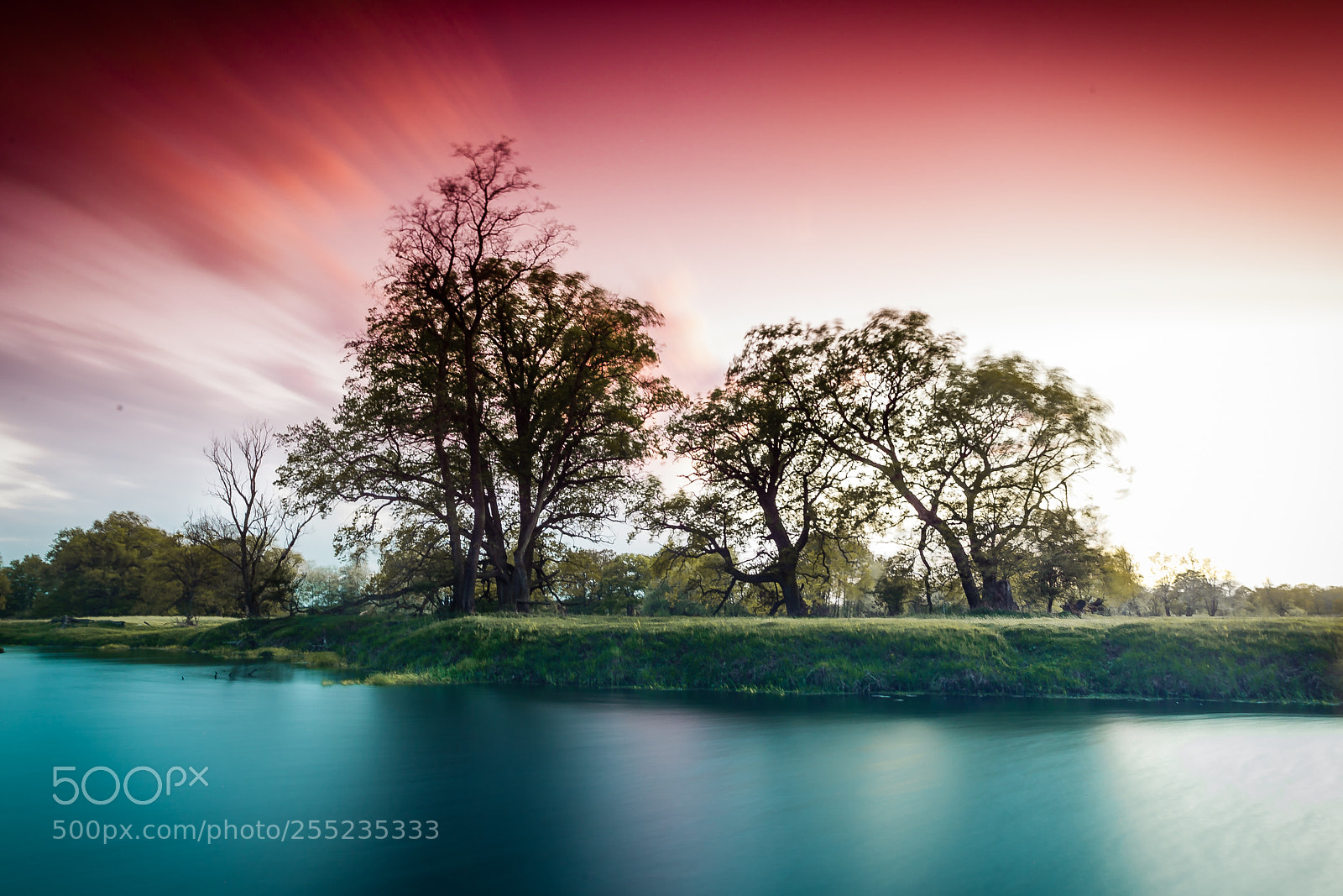 Canon EOS-1D Mark III sample photo. Windy sunset photography