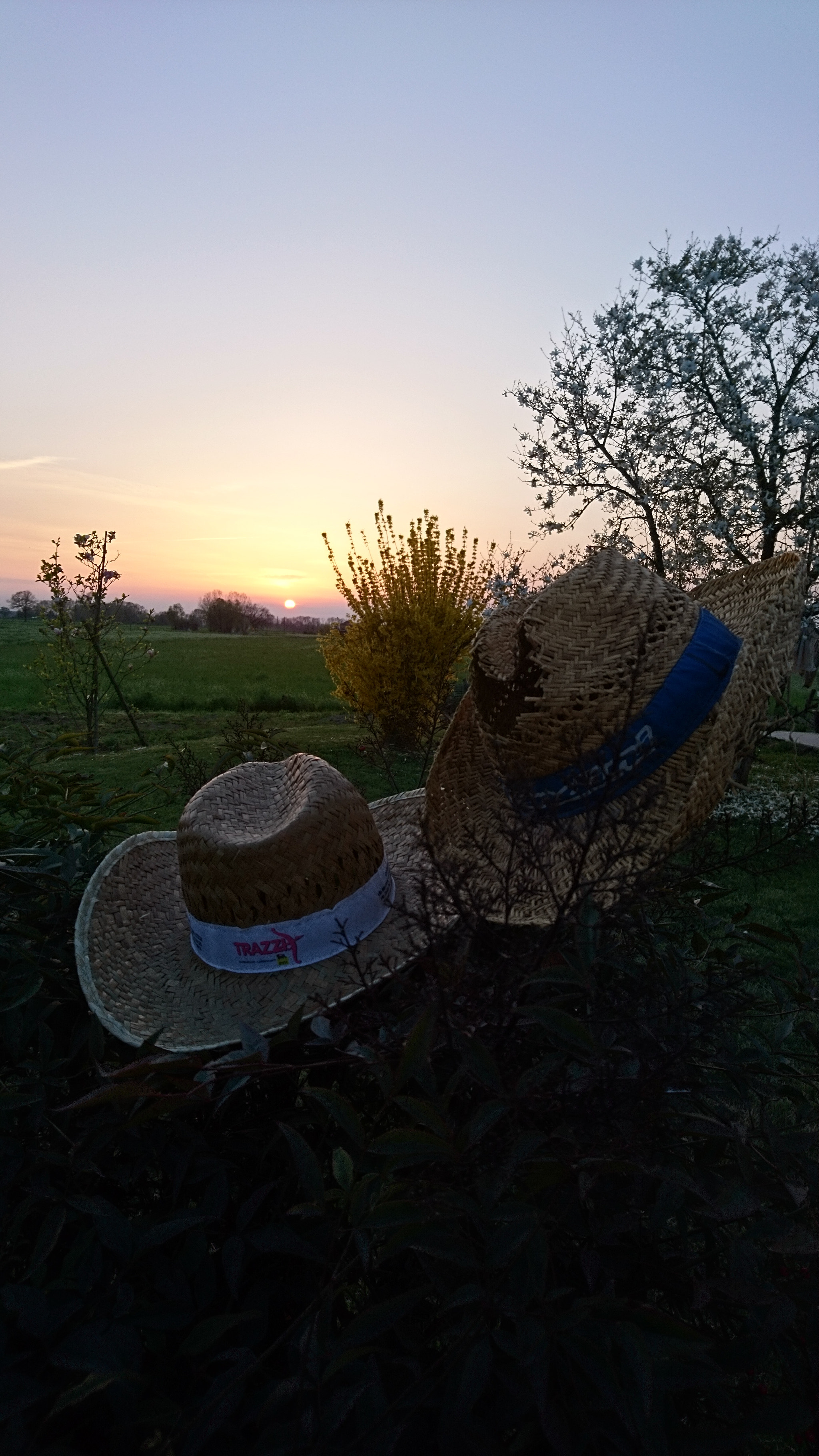Sony Xperia X sample photo