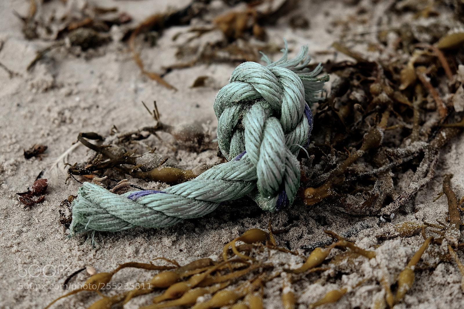Fujifilm X-T10 sample photo. 537.jpg photography
