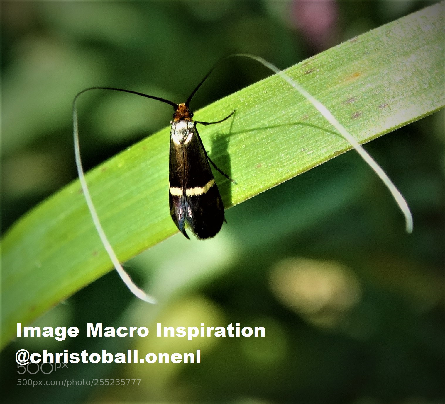 Sony Cyber-shot DSC-HX300 sample photo. Dsc photography