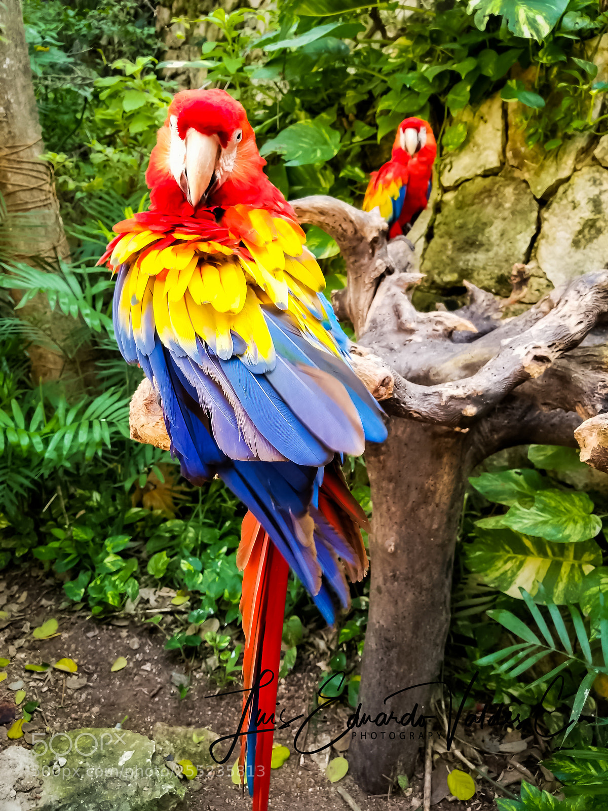 Samsung Galaxy S8 sample photo. Colors! photography