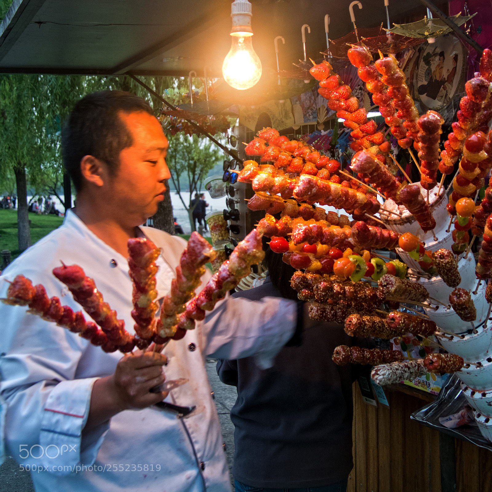Fujifilm X-E1 sample photo. Strawberries on a stick photography