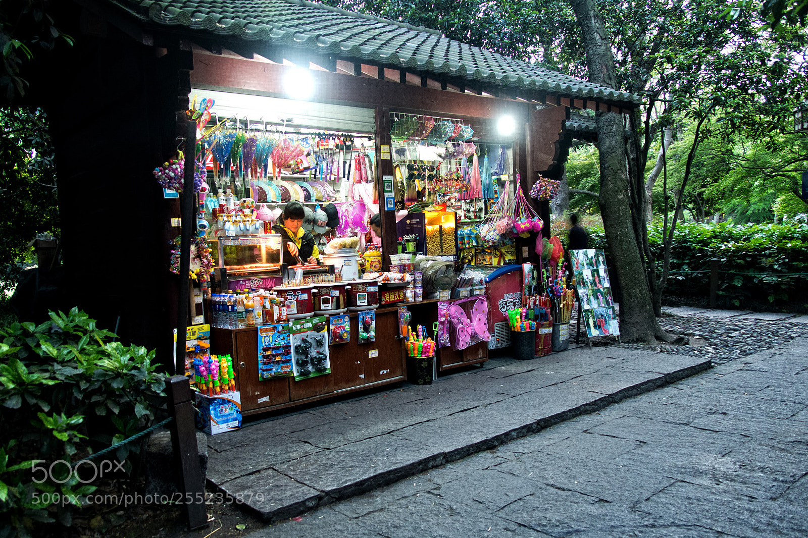 Fujifilm X-E1 sample photo. Shops along west lake photography