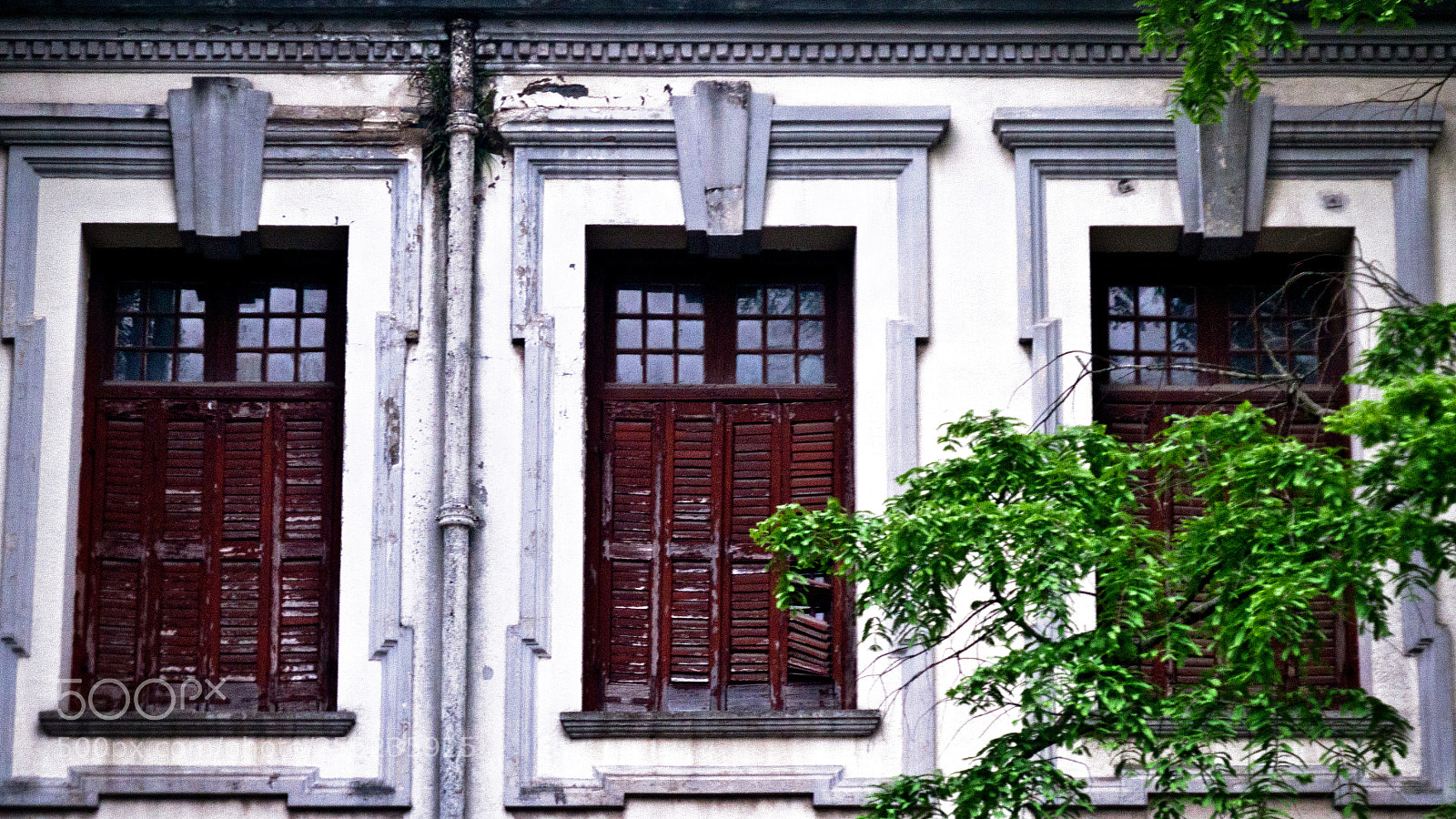 Fujifilm X-E1 sample photo. Windows photography
