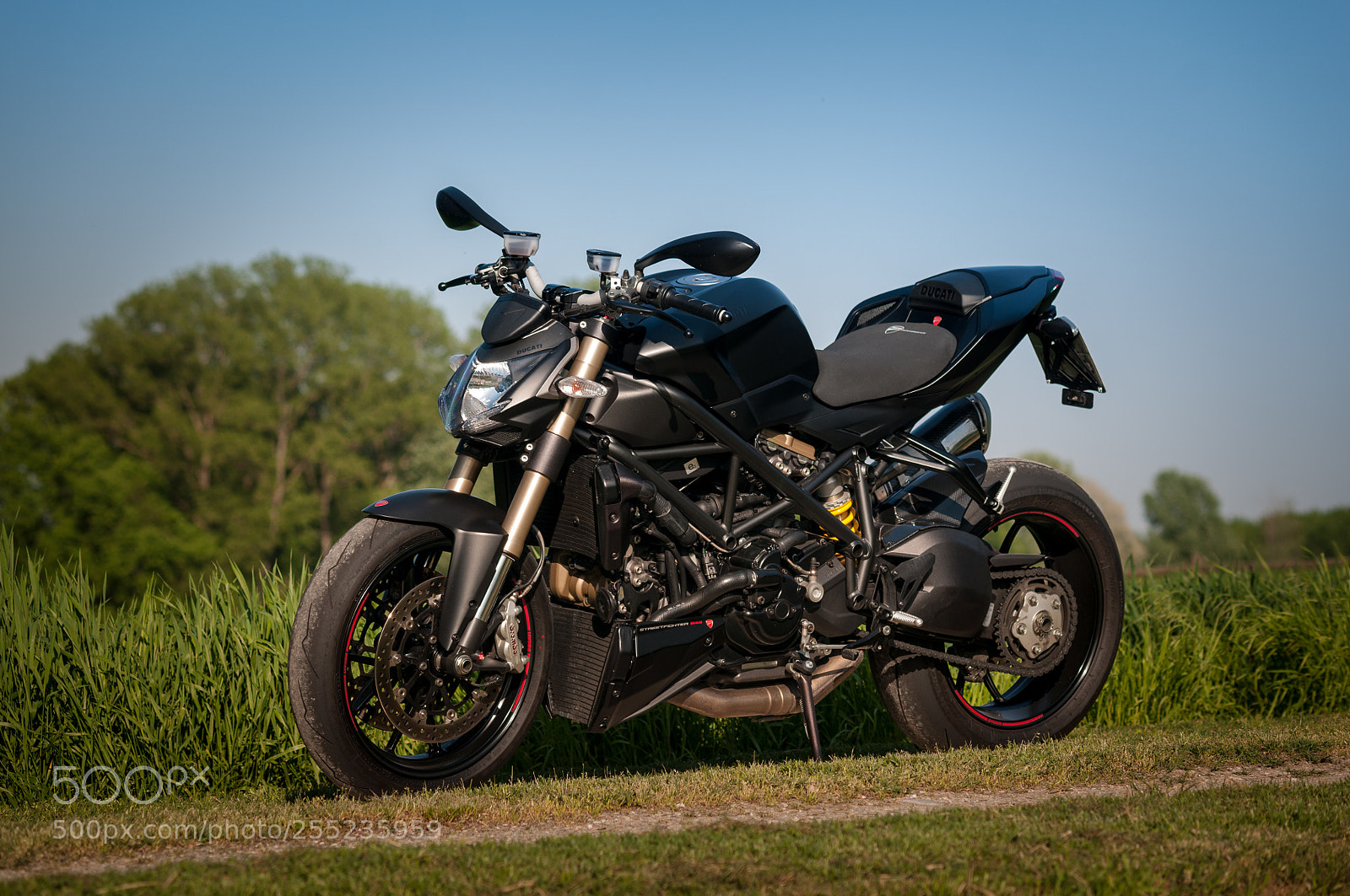 Nikon D300 sample photo. Streetfighter 848 #1 photography