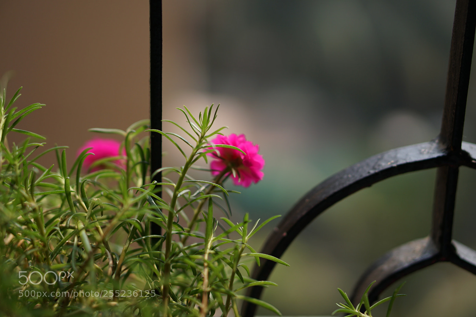 Sony a6300 sample photo. Untitled photography