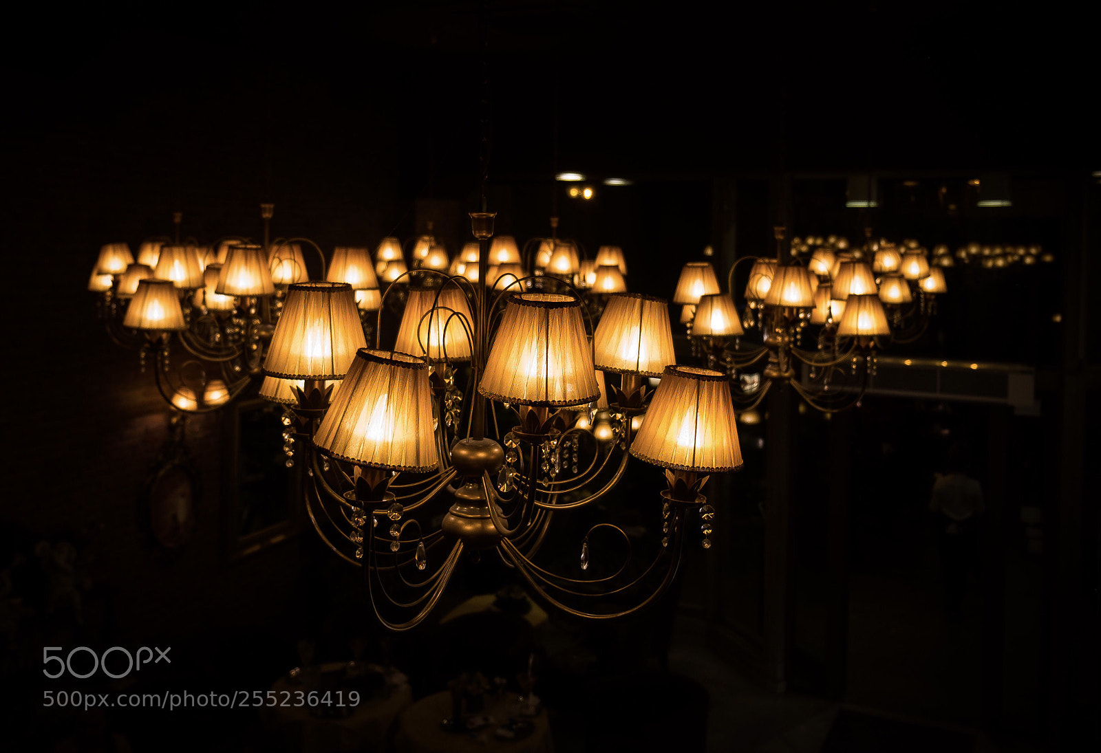 Fujifilm X-E1 sample photo. Untitled photography