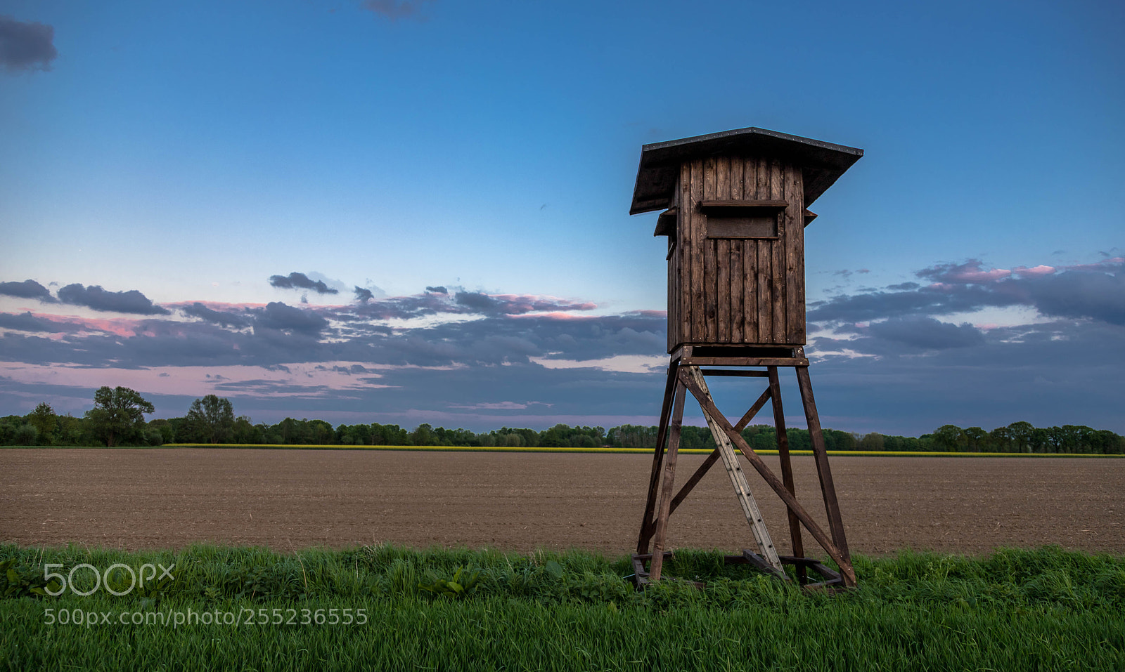 Canon EOS 6D Mark II sample photo. Auf dem lande photography