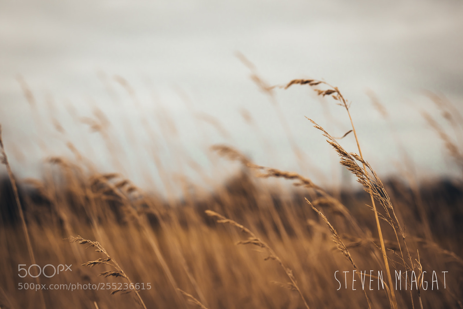 Canon EOS 80D sample photo. Hewitt's farm photography