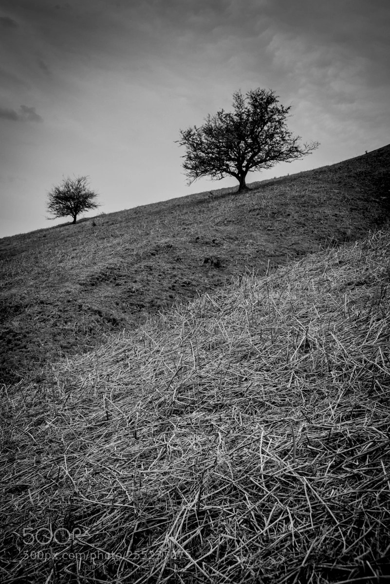 Nikon D800 sample photo. Black mountain photography
