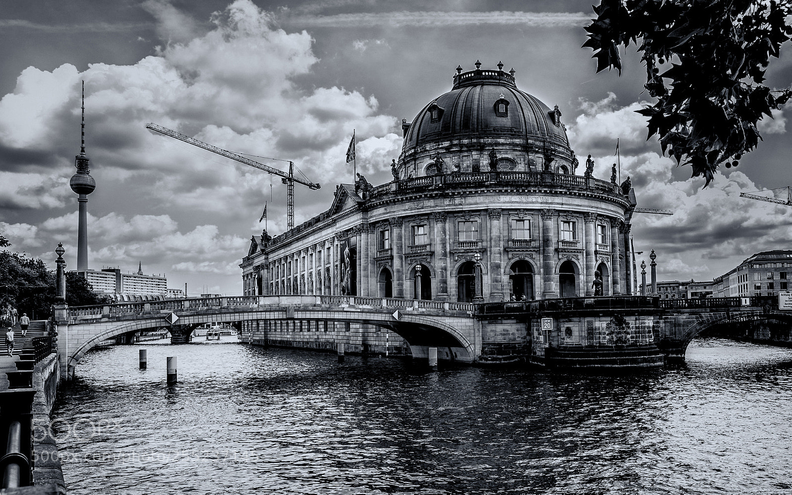 Nikon D800 sample photo. Bode museum photography