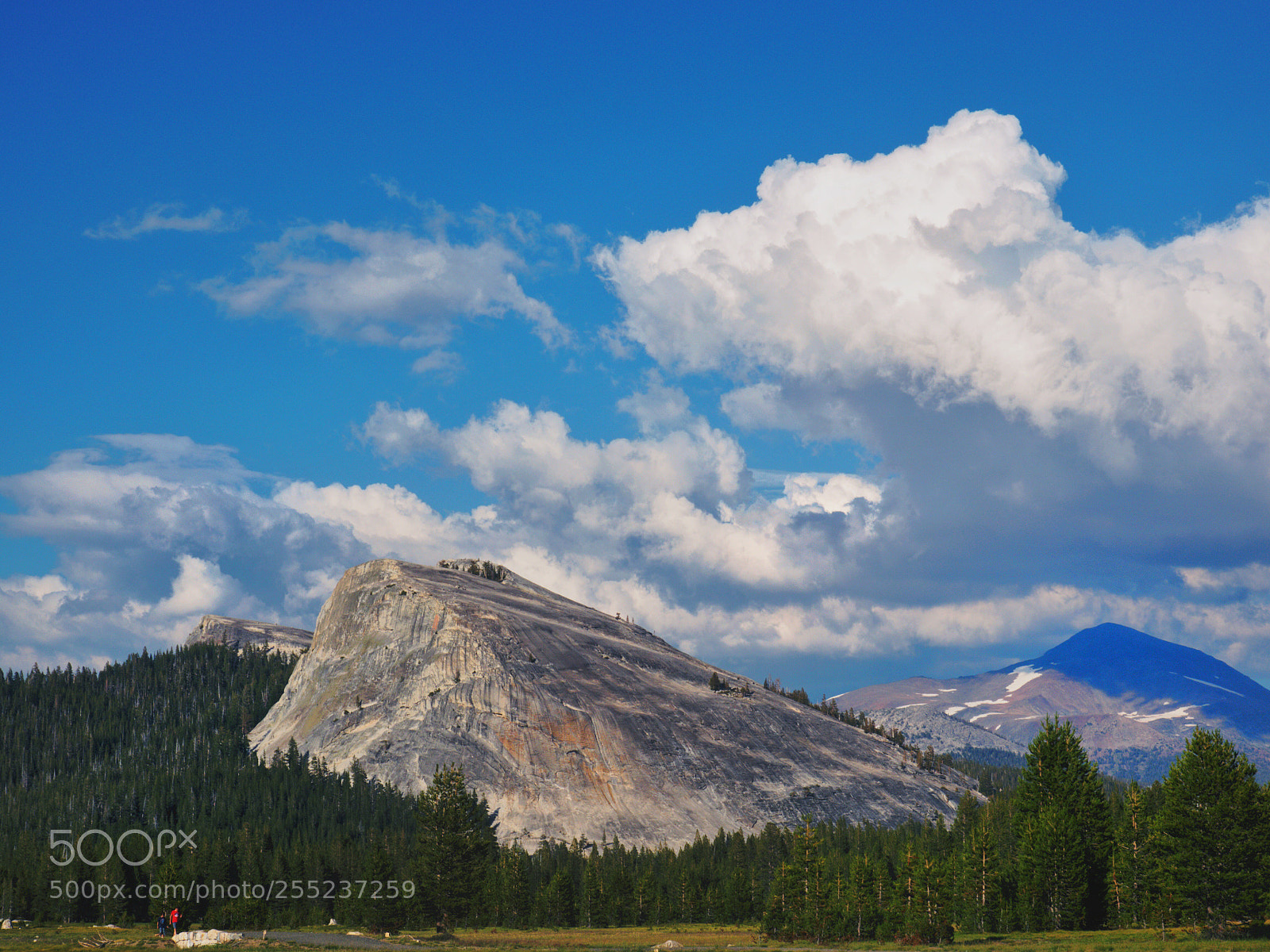 Olympus OM-D E-M1 sample photo. Lembert dome photography