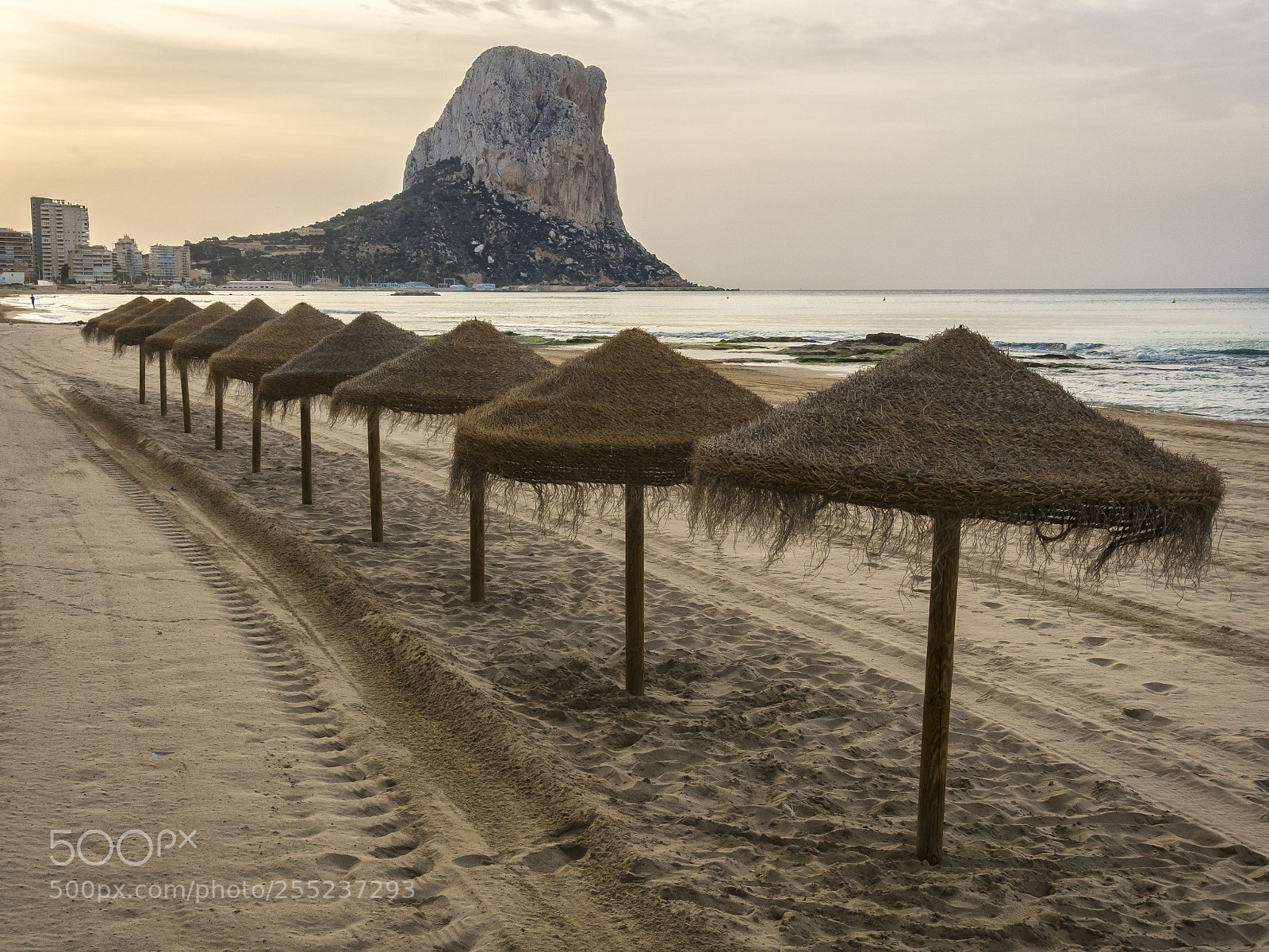 Olympus OM-D E-M5 II sample photo. Calp photography