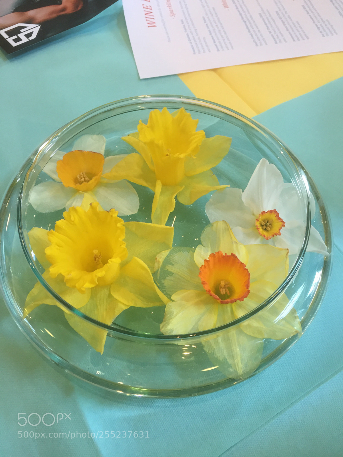 Apple iPhone 6 sample photo. Daffodils being flaunted ...  photography