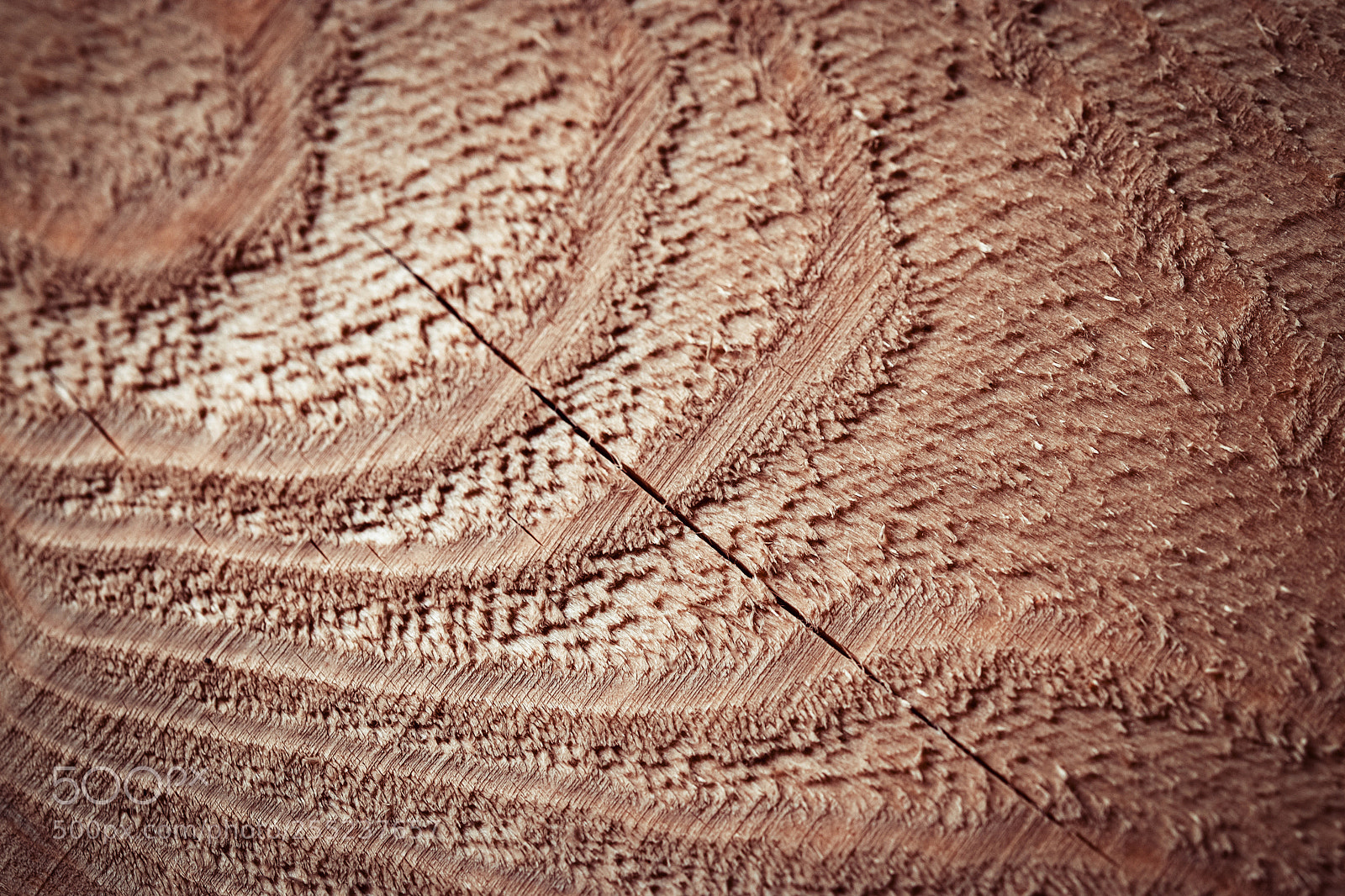 Nikon D5500 sample photo. Detail of roughly dirty photography