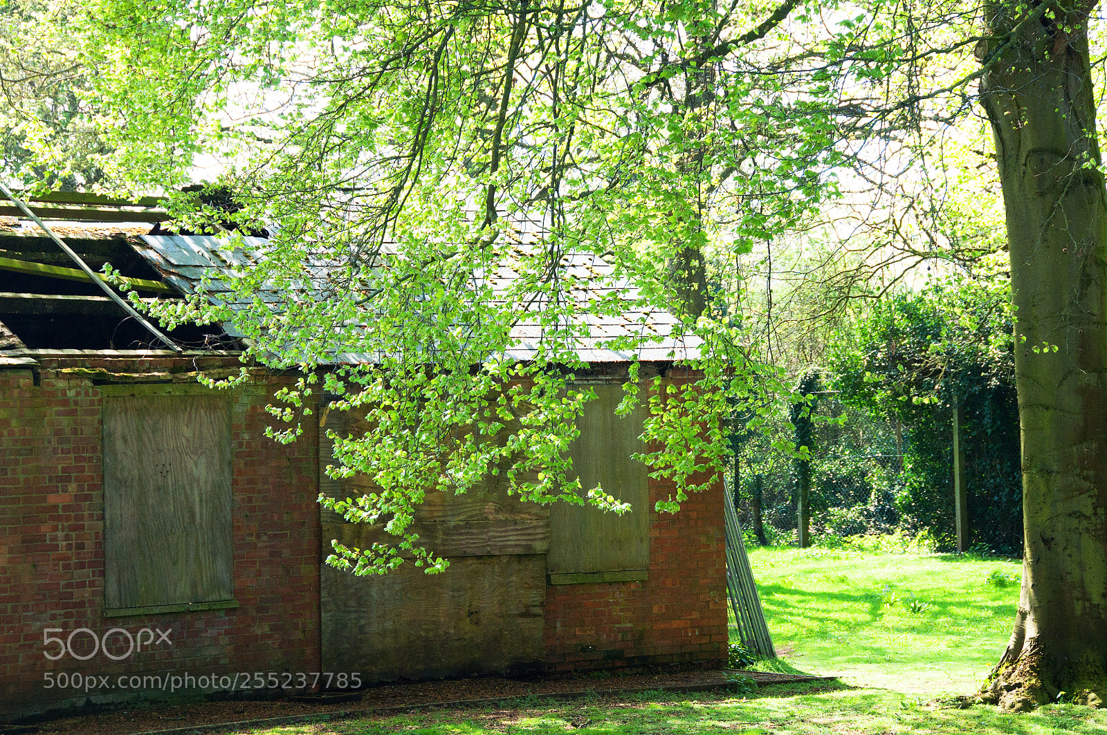 Nikon D90 sample photo. Abandonment photography