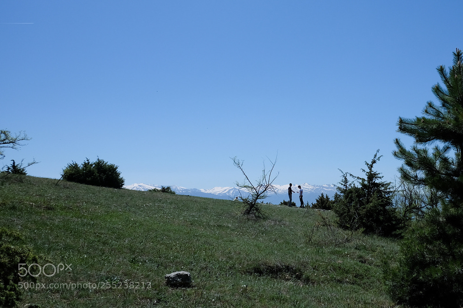 Fujifilm X-T10 sample photo. Untitled photography