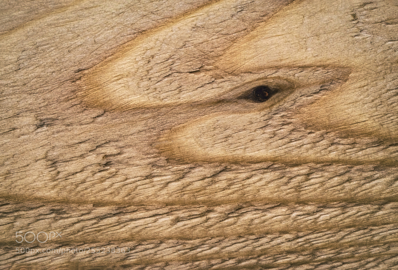 Nikon D5500 sample photo. Abstract shape on old photography