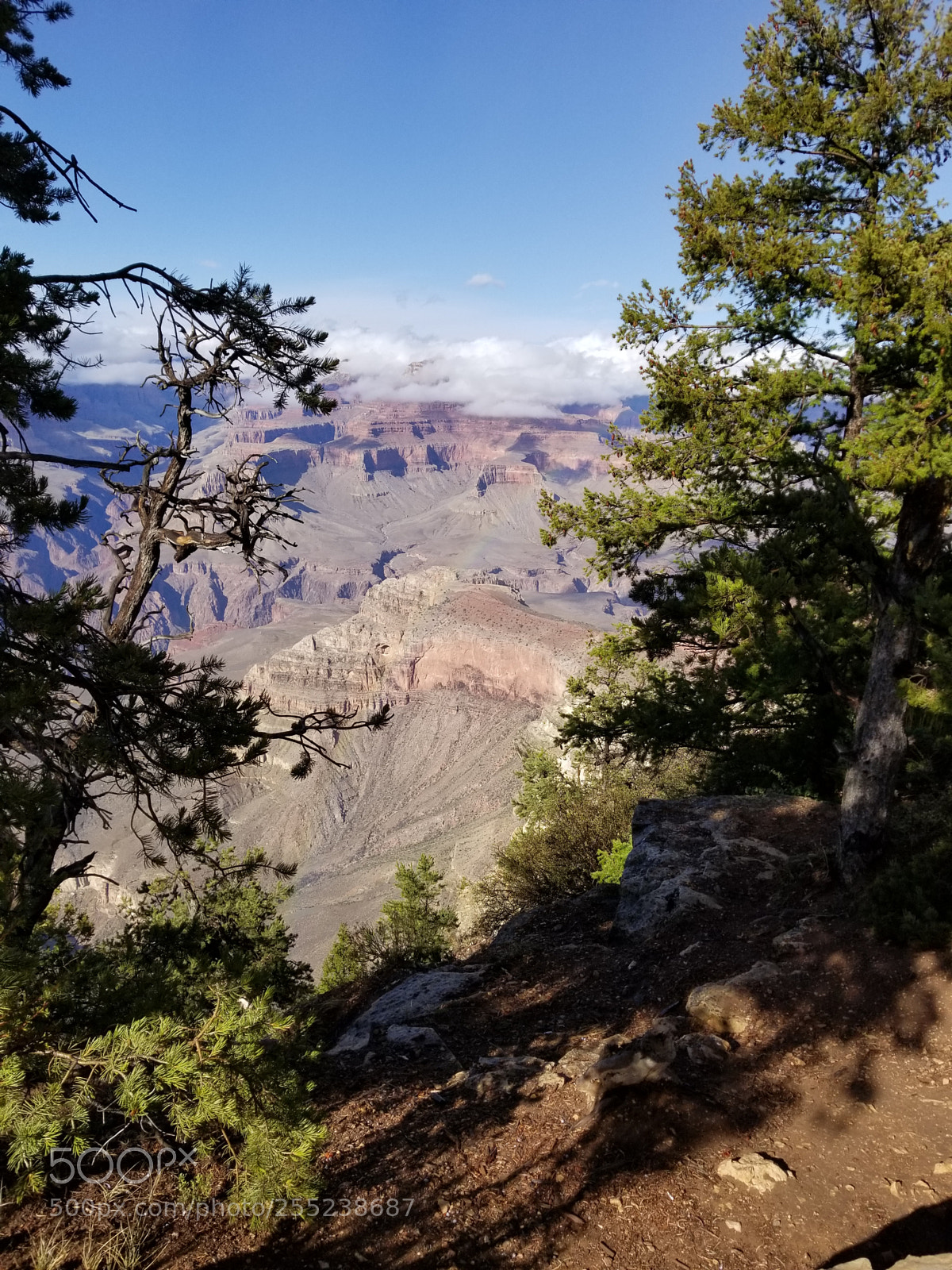 Samsung Galaxy S8 sample photo. Untitled photography