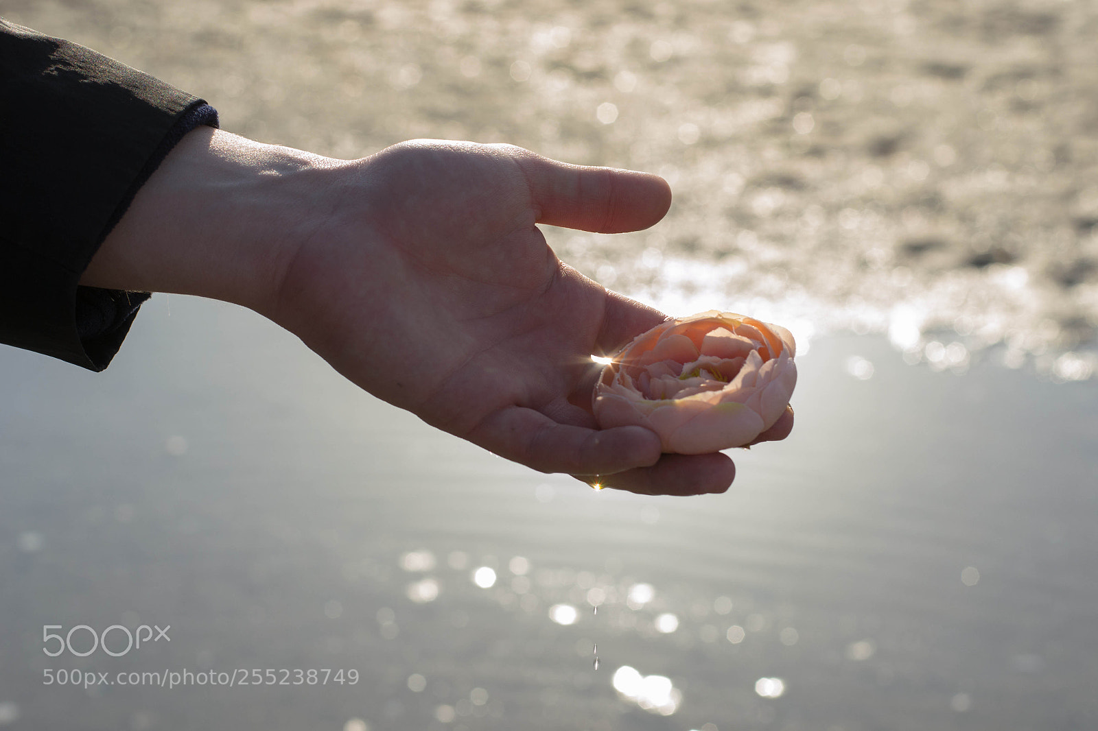 Nikon D3100 sample photo. Nature photography