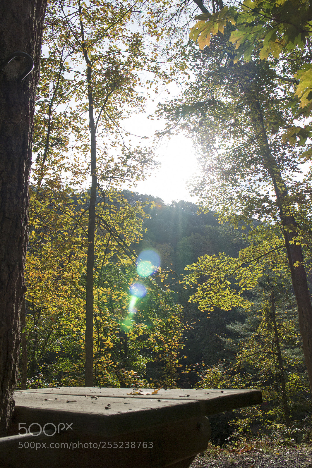 Canon EOS M sample photo. Solar fae photography