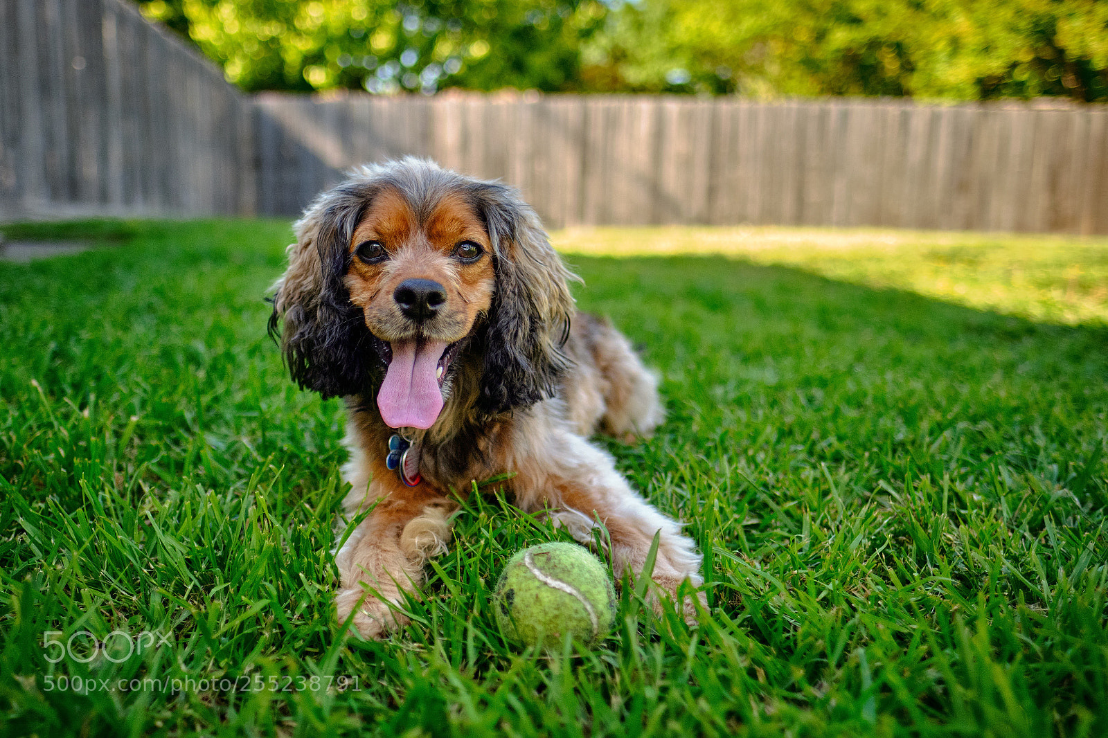 Fujifilm X-T2 sample photo. Wanting to play  photography