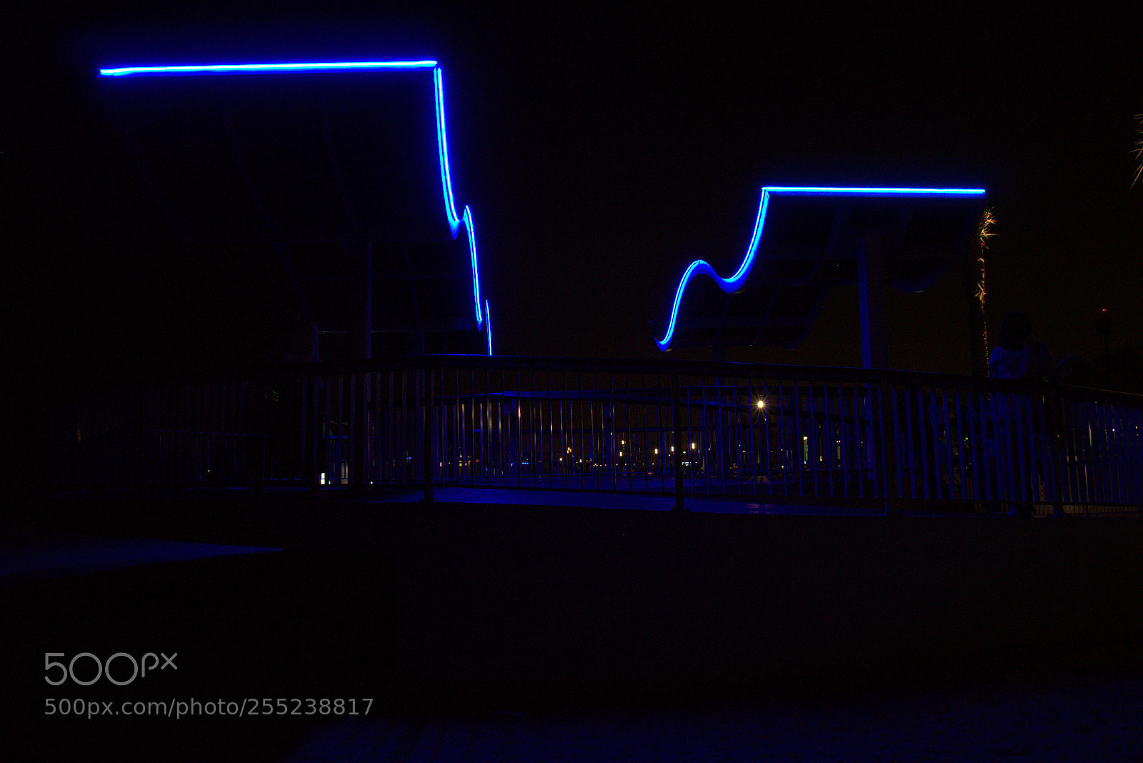 Canon EOS 700D (EOS Rebel T5i / EOS Kiss X7i) sample photo. Magic carpets photography