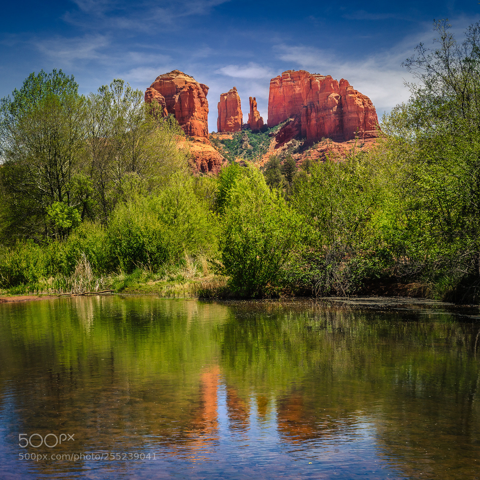 Nikon D7000 sample photo. Cathedral rock photography