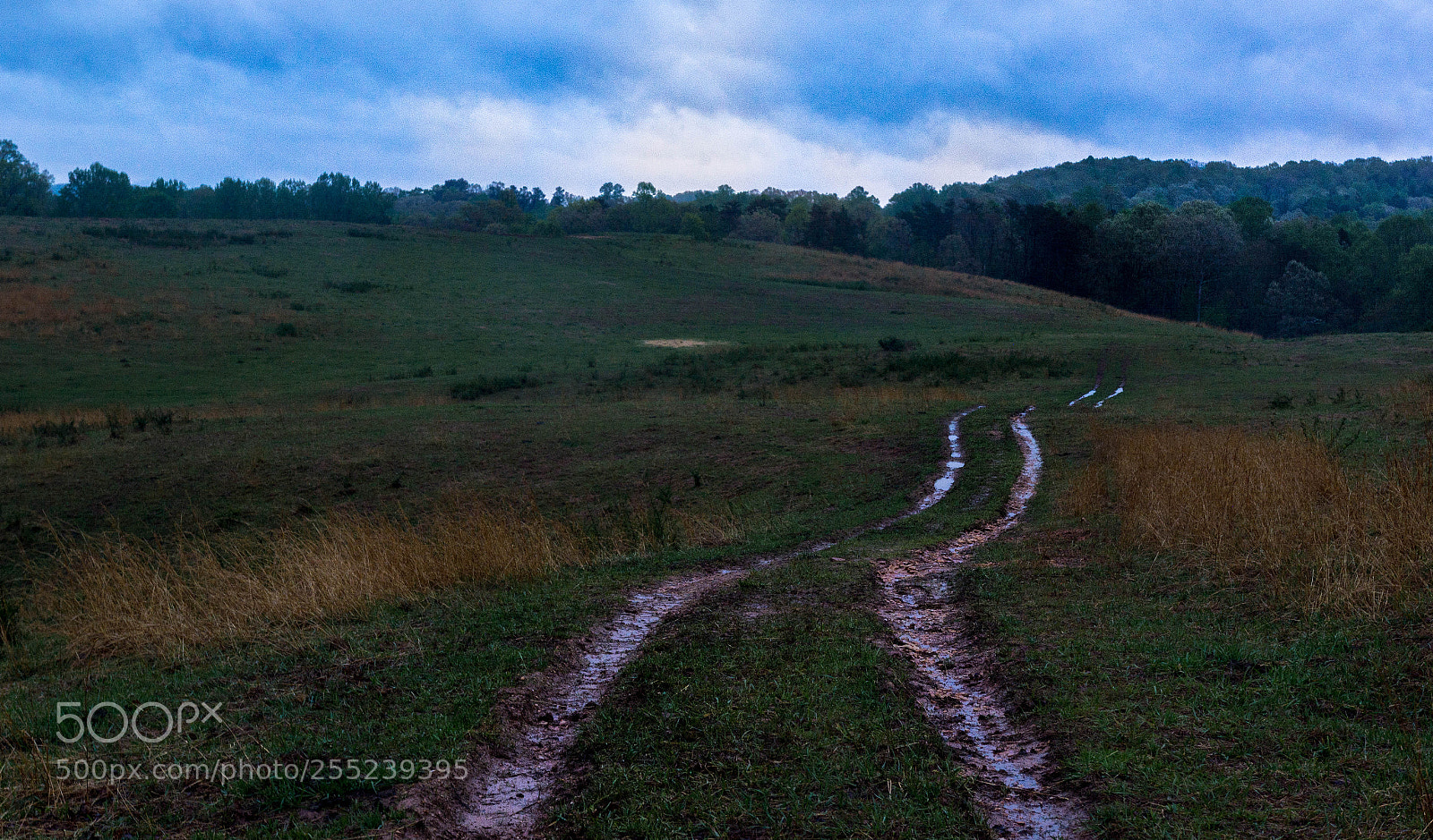 Nikon D5200 sample photo. Field road photography