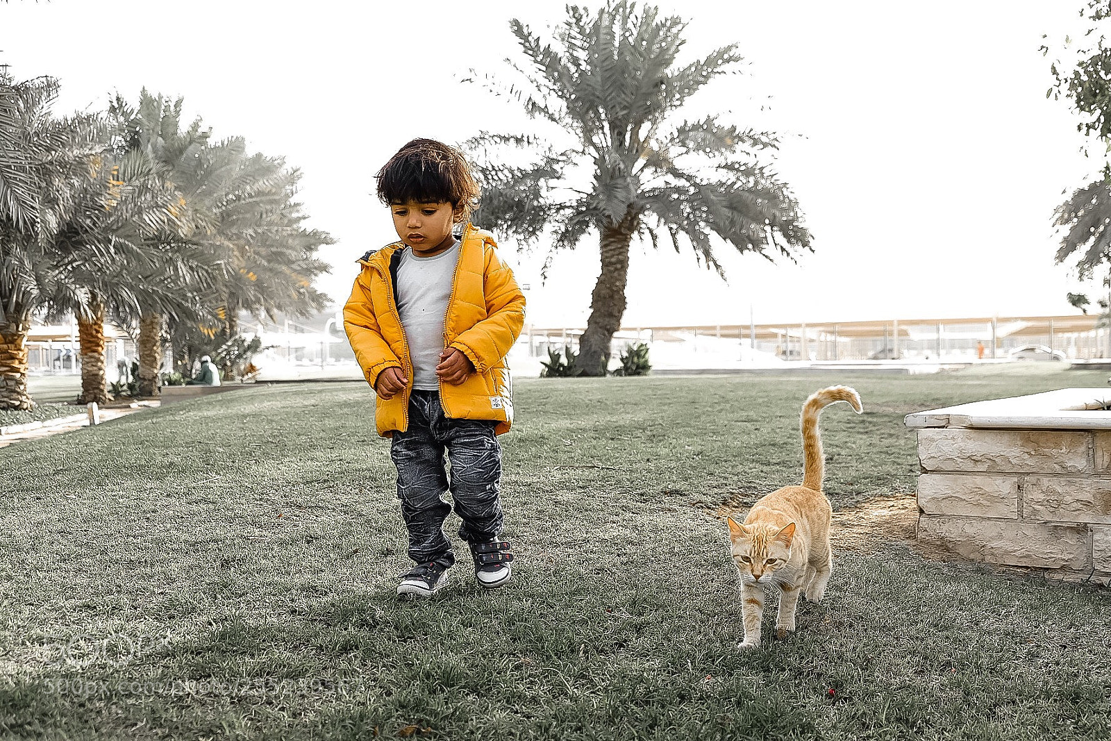 Fujifilm X-T2 sample photo. Untitled photography