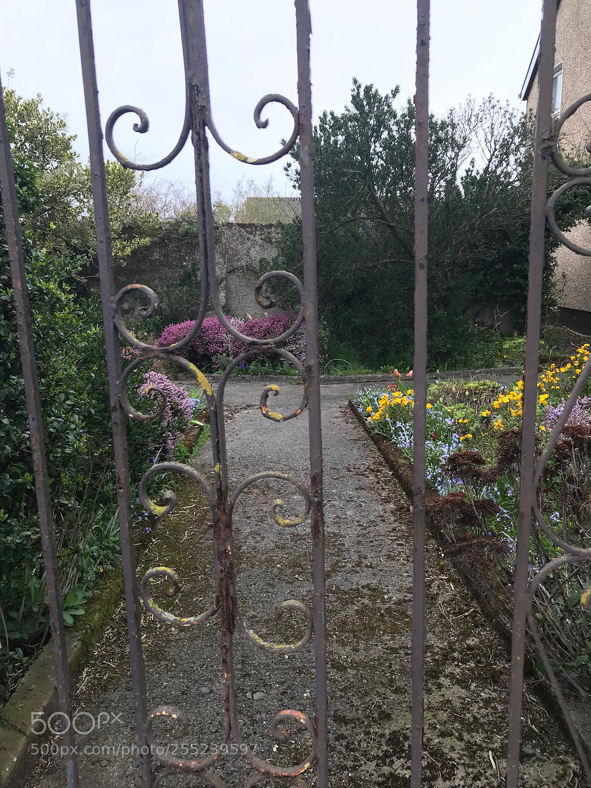 Apple iPhone 7 sample photo. Secret garden photography