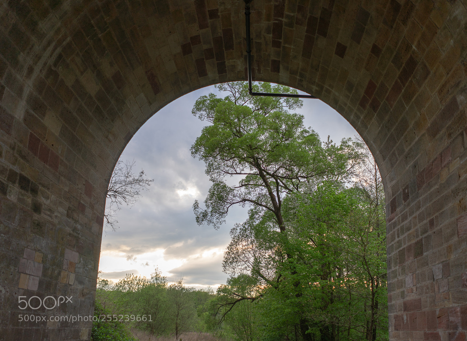 Sony a7 II sample photo. Durchblick photography