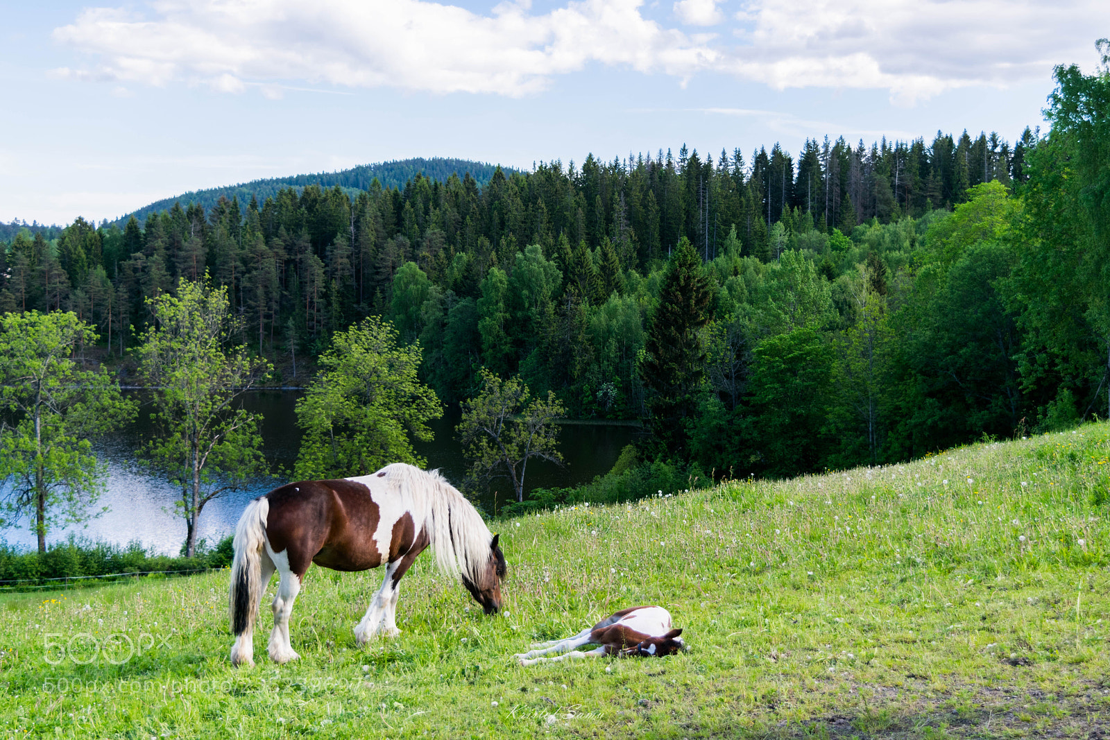 Nikon D5300 sample photo. Mother and son photography