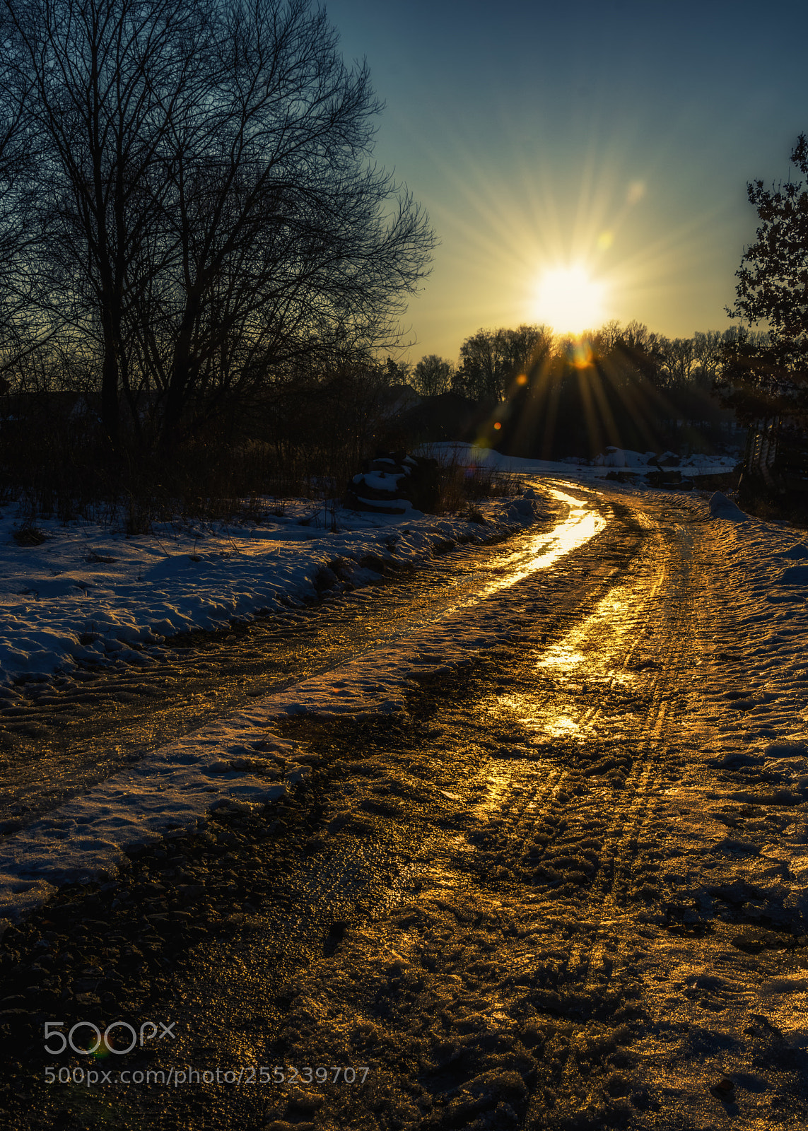 Nikon D5200 sample photo. Way in the winter photography
