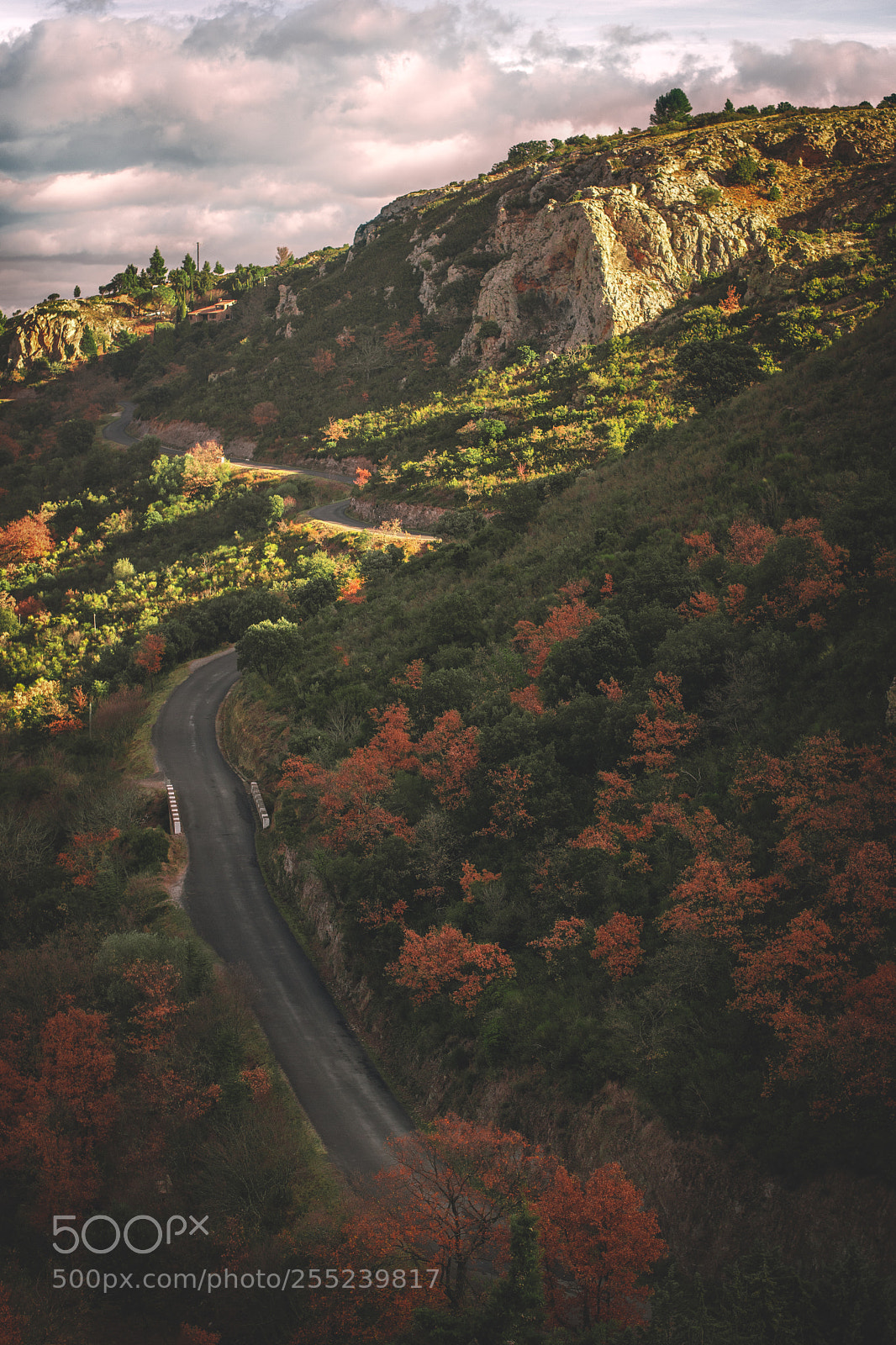 Nikon D3300 sample photo. Perfect road photography