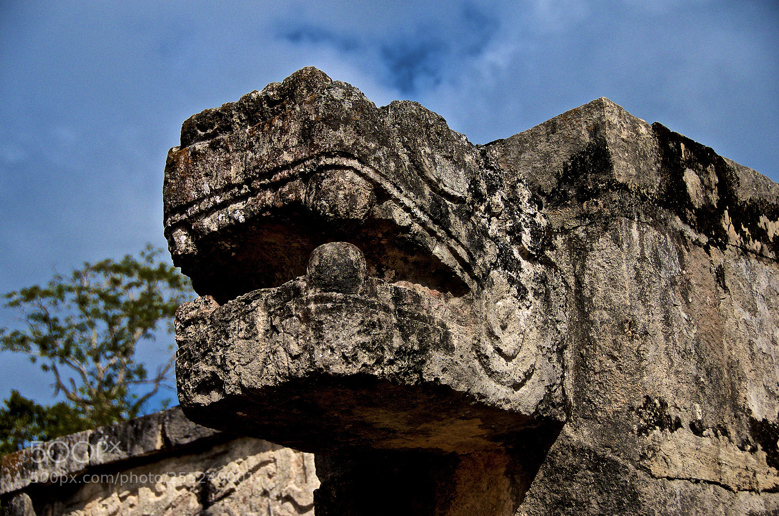 Nikon D7000 sample photo. Monster photography